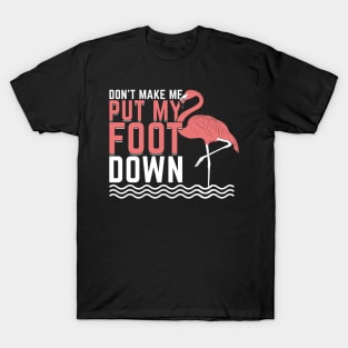 Funny Flamingo Lover Gift T-Shirt